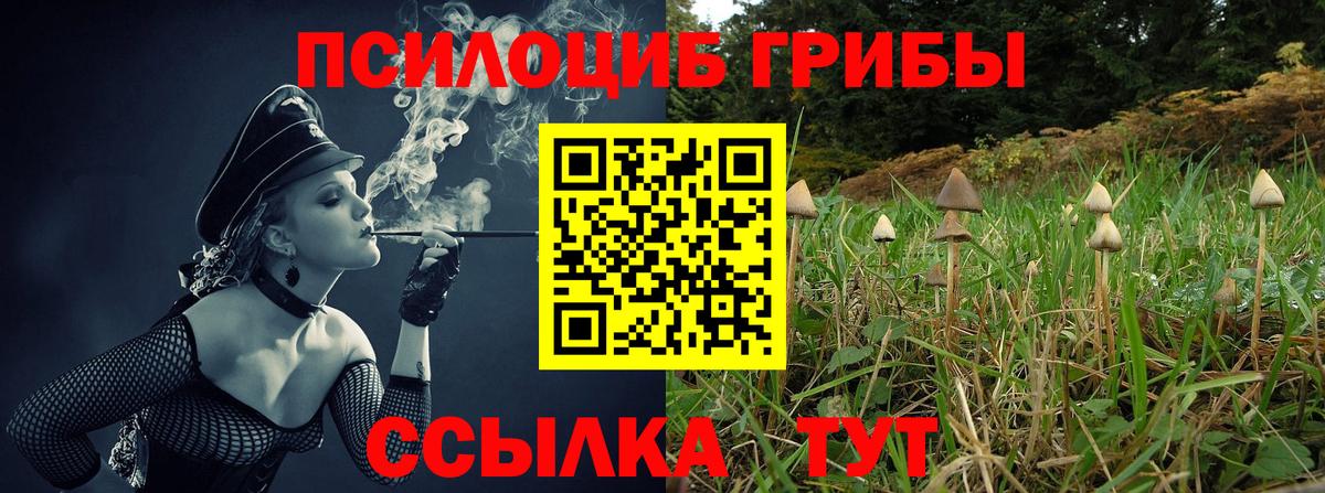 Галлюциногенные грибы Magic Shrooms Троицк